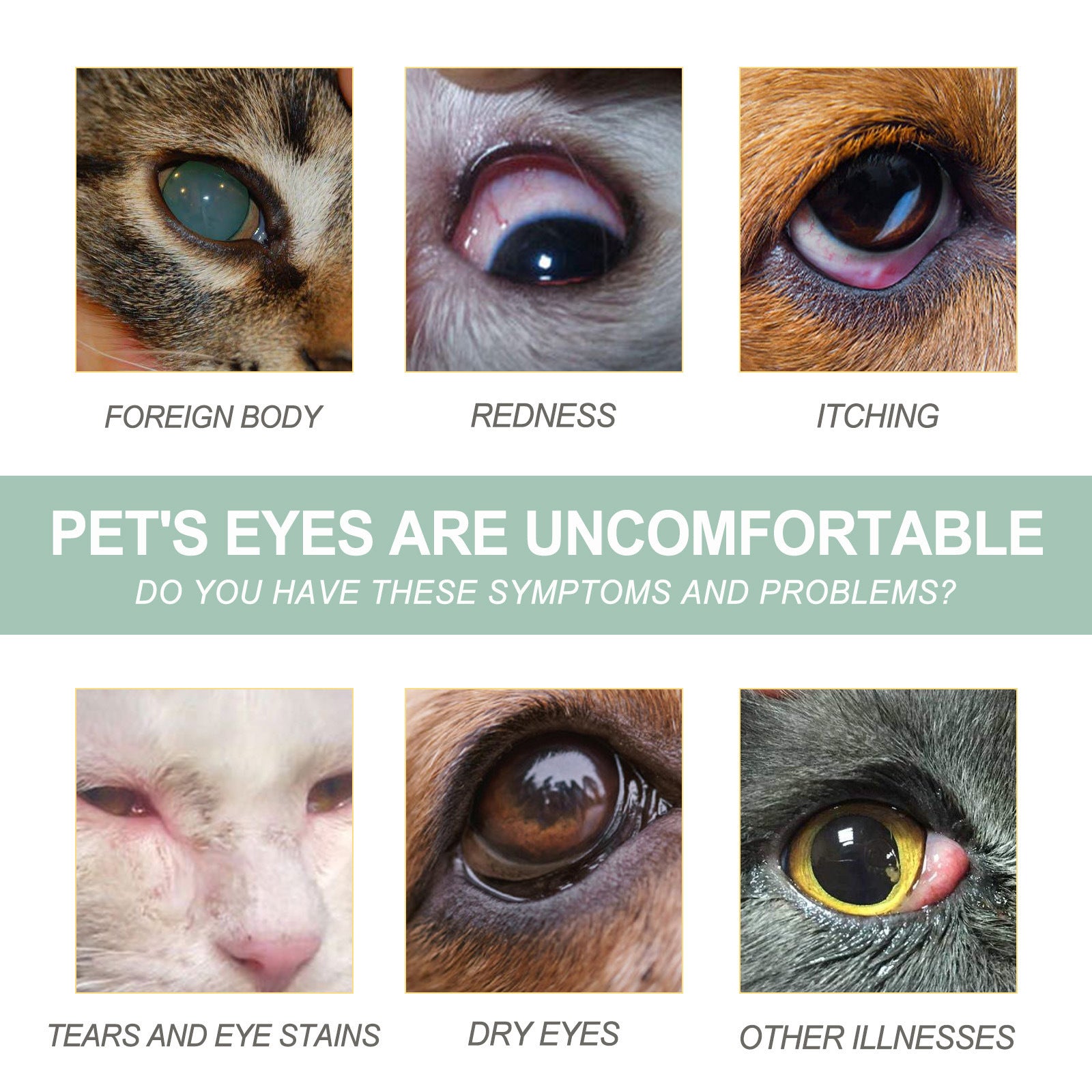Dogs And Cats Eye Care Eye Drops